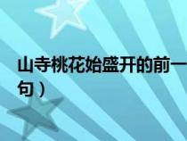 山寺桃花始盛开的前一句诗是什么（山寺桃花始盛开的前一句）