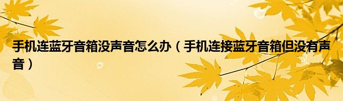手机连蓝牙音箱没声音怎么办（手机连接蓝牙音箱但没有声音）