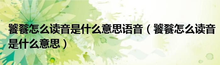 饕餮怎么读音是什么意思语音（饕餮怎么读音是什么意思）