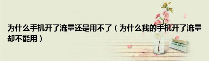 为什么手机开了流量还是用不了（为什么我的手机开了流量却不能用）