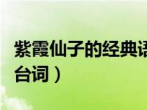 紫霞仙子的经典语录王者（王者荣耀紫霞仙子台词）