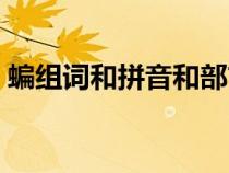 蝙组词和拼音和部首和结构（蝙组词和拼音）