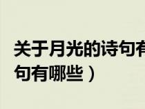 关于月光的诗句有哪些四年级（关于月光的诗句有哪些）