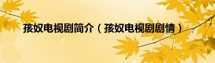 孩奴电视剧简介（孩奴电视剧剧情）