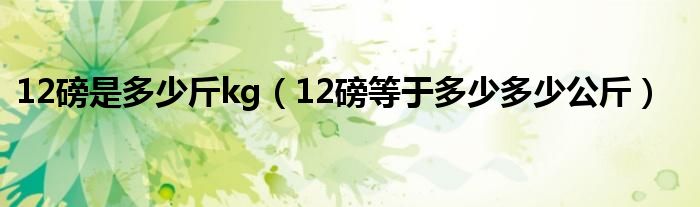 12磅是多少斤kg（12磅等于多少多少公斤）