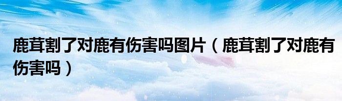 鹿茸割了对鹿有伤害吗图片（鹿茸割了对鹿有伤害吗）