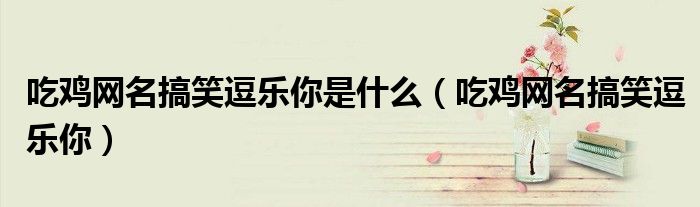 吃鸡网名搞笑逗乐你是什么（吃鸡网名搞笑逗乐你）