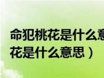 命犯桃花是什么意思指男人还是女人（命犯桃花是什么意思）