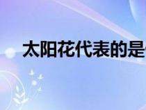 太阳花代表的是什么（太阳花代表什么）