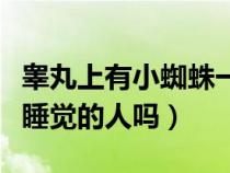 睾丸上有小蜘蛛一样的虫子（高脚蜘蛛会攻击睡觉的人吗）