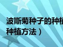 波斯菊种子的种植方法和时间（波斯菊种子的种植方法）