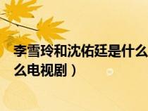 李雪玲和沈佑廷是什么电视剧里面的（李雪玲和沈佑廷是什么电视剧）