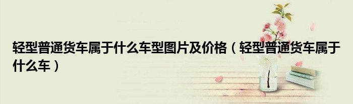 轻型普通货车属于什么车型图片及价格（轻型普通货车属于什么车）