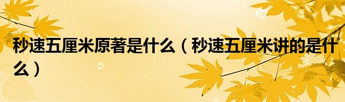秒速五厘米原著是什么（秒速五厘米讲的是什么）