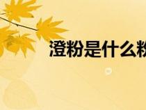 澄粉是什么粉呢（澄粉是什么粉）