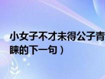 小女子不才未得公子青睐出自哪里（小女子不才未得公子青睐的下一句）