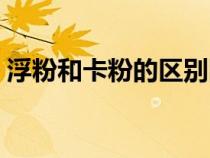 浮粉和卡粉的区别图片（浮粉和卡粉的区别）