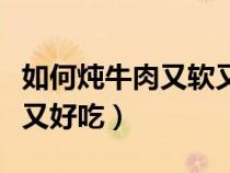 如何炖牛肉又软又好吃视频（如何炖牛肉又软又好吃）