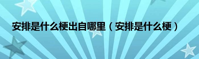 安排是什么梗出自哪里（安排是什么梗）