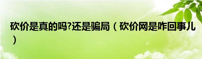 砍价是真的吗?还是骗局（砍价网是咋回事儿）