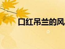 口红吊兰的风水（养口红吊兰禁忌）