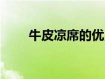 牛皮凉席的优点（什么是牛皮凉席）