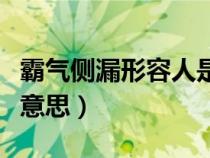 霸气侧漏形容人是什么意思（霸气侧漏是什么意思）