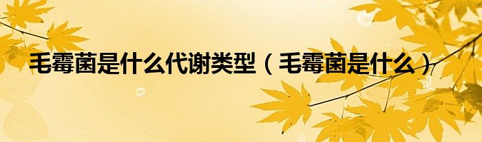 毛霉菌是什么代谢类型（毛霉菌是什么）