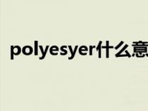 polyesyer什么意思（polyester什么意思）