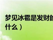 梦见冰雹是发财的预兆吗（梦到下冰雹预示着什么）