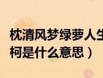 枕清风梦绿萝人生随处是南柯是什么意思（南柯是什么意思）
