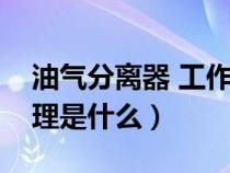 油气分离器 工作原理（油气分离器的工作原理是什么）