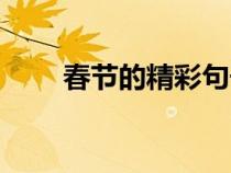 春节的精彩句子（春节的优秀句子）