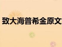 致大海普希金原文解析（致大海普希金原文）