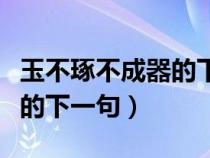 玉不琢不成器的下一句人不知（玉不琢不成器的下一句）