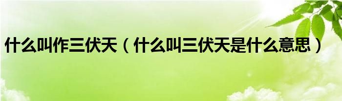 什么叫作三伏天（什么叫三伏天是什么意思）