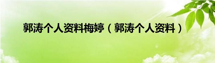 郭涛个人资料梅婷（郭涛个人资料）