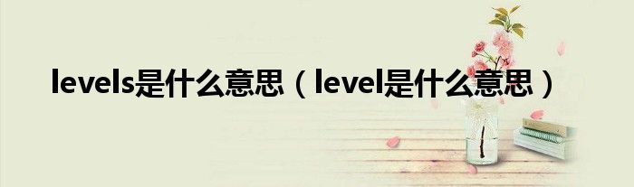 levels是什么意思（level是什么意思）