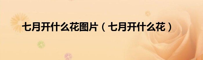七月开什么花图片（七月开什么花）