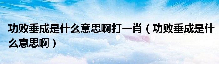 功败垂成是什么意思啊打一肖（功败垂成是什么意思啊）