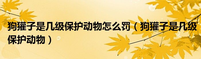 狗獾子是几级保护动物怎么罚（狗獾子是几级保护动物）