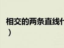 相交的两条直线什么是平行线（什么是平行线）