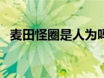 麦田怪圈是人为吗（麦田怪圈是怎么回事）