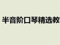 半音阶口琴精选教程（半音阶口琴教程入门）