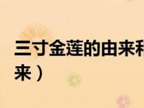 三寸金莲的由来和寓意和象征（三寸金莲的由来）