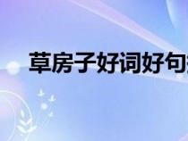 草房子好词好句摘抄（草房子好词好句）