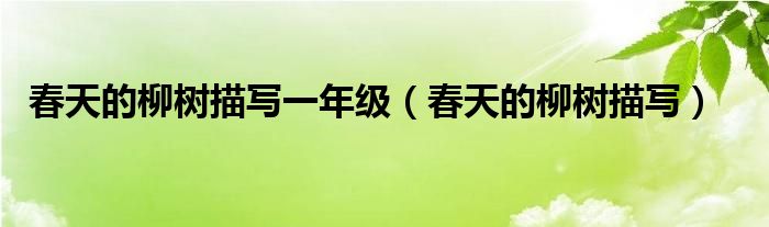 春天的柳树描写一年级（春天的柳树描写）