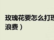 玫瑰花要怎么打理（玫瑰花按如下方法处理不浪费）