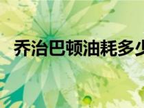 乔治巴顿油耗多少钱（乔治巴顿油耗多少）