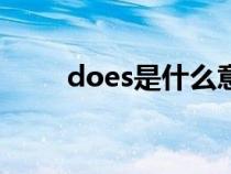 does是什么意思（do是什么意思）